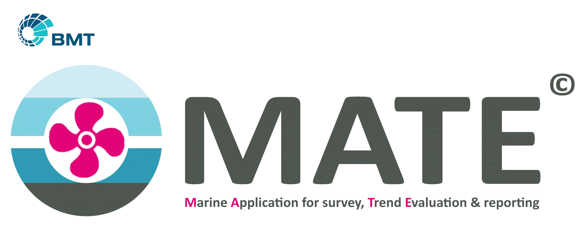 BMT Surveys Mate